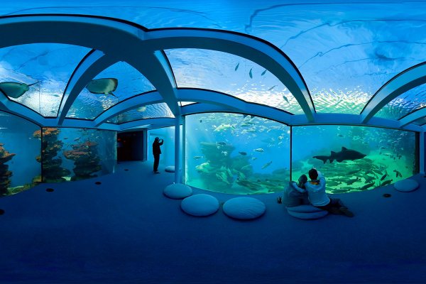 Palma Aquarium