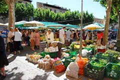 The Pollensa Market