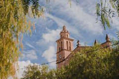La feria de la oliva