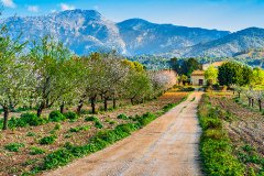 La primavera en Mallorca