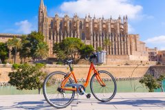 See Mallorca on two wheels