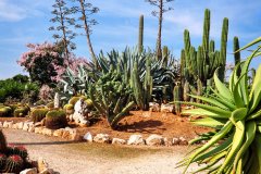 Un paraíso para los amantes de la naturaleza