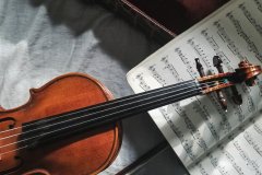 Amantes de la música clásica