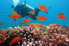Reefs, caves and diving down deeper in the wonderful Mediterranean Sea